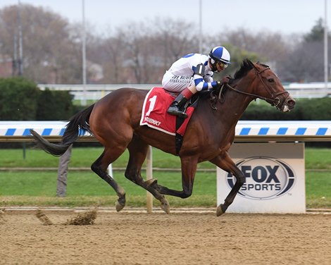 Espresso Shot wins 2020 New York Stallion Series Stakes at Aqueduct