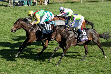 Audarya with Pierre Charles Boudot wins the Breeders’ Cup Filly and Mare Turf at Keeneland in Lexington, Ky. on Nov. 7, 2020.