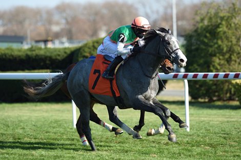 Straw Into Gold wins maiden special weight Saturday, November 21, 2020 at Aqueduct