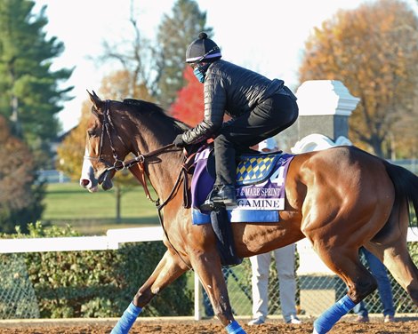 Gamine - Gallop - Keeneland - 110420