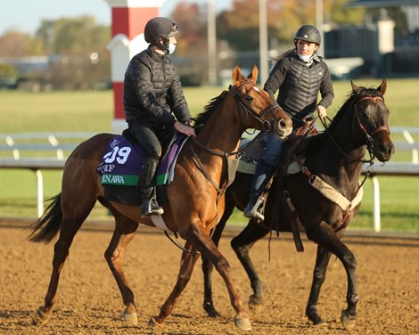 Tarnawa - Keeneland - 11-05-20 