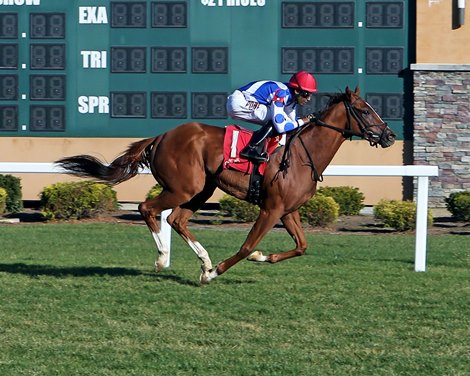 Charles Chrome - ALW, Indiana Grand, November 9, 2020