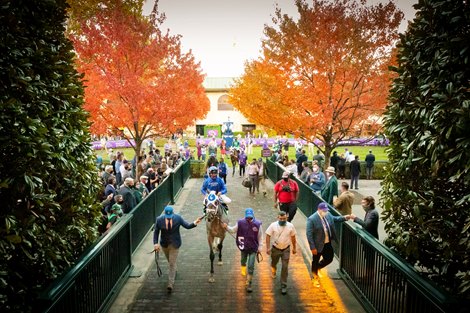 Essential Quality with Luis Saez up, leaves the paddock before winning the Breeders' Cup TVG Juvenile at Keeneland in Lexington, Ky., Friday, Nov. 6, 2020.  