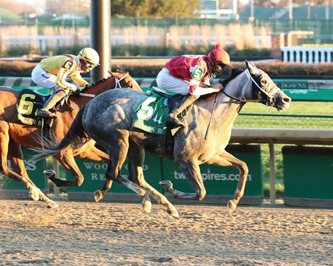 Travel Column wins the 2020 Golden Rod Stakes at Churchill Downs