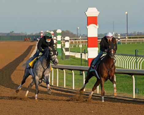 (L-R): Tacitus and Channel Maker working. <br><br />
Breeders’ Cup horses at Keeneland in Lexington, Ky. on November 1, 2020. 