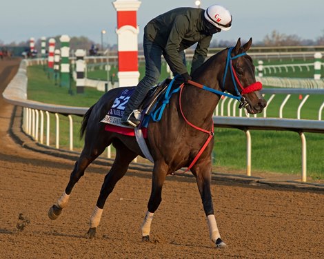 Come Dancing<br><br />
Breeders’ Cup horses at Keeneland in Lexington, Ky. on November 1, 2020. 