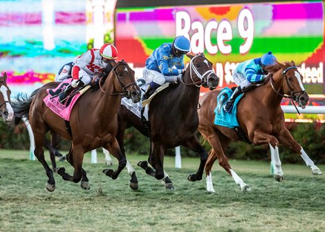 Domestic Spending and jockey Irad Ortiz, Jr., left, overpower Smooth Like Strait (Umberto Rispoli), middle, and Get Smokin (Mike Smith), right, to win the G1, $300,000 Hollywood Derby, November 28, 2020 at Del Mar Thoroughbred Club, Del Mar CA.