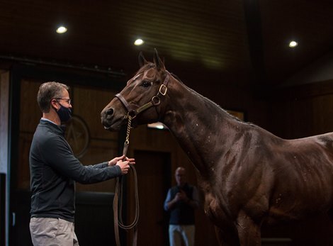 Tom&#39;s d&#39;Etat at WinStar Farm