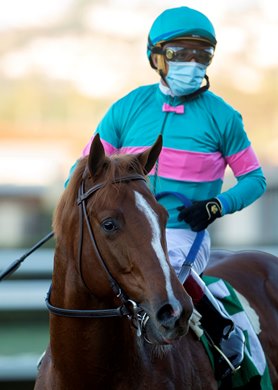 Jockey Victor Espinoza guides Red Flag to the winner&#39;s circle after their victory in the Grade III, $100,000 Bob Hope Stakes, Sunday, November 15, 2020 at Del Mar Thoroughbred Club, Del Mar CA.<br><br />
&#169; BENIOT PHOTO