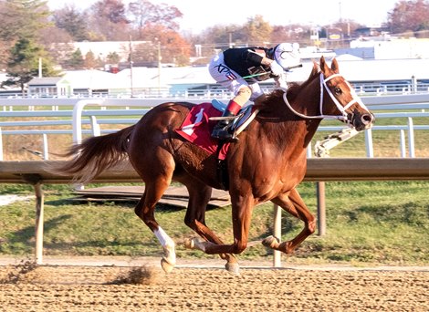 Street Lute wins 2020 Smart Halo Stakes