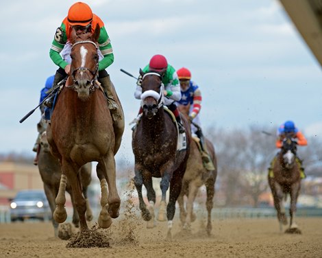 Forza Di Oro wins the Discovery Stakes at Aqueduct                    