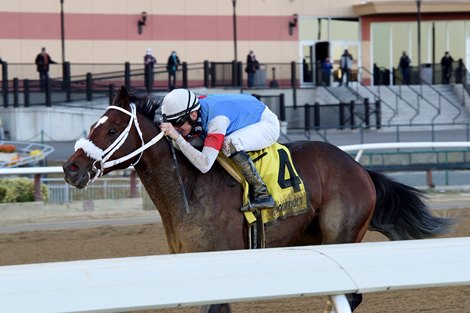 Pickin&#39; Time wins the Nashua Stakes Sunday, November 8, 2020 at Aqueduct