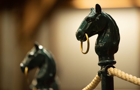 sales ring<br><br />
Sales horses at the Keeneland November Sale at Keeneland in Lexington, Ky. on November 10, 2020. 