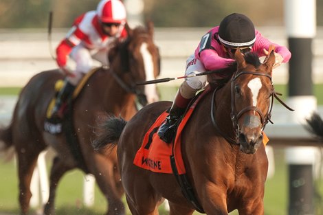 Heavenly Curlin wins the 2020 Maple Leaf Stakes at Woodbine