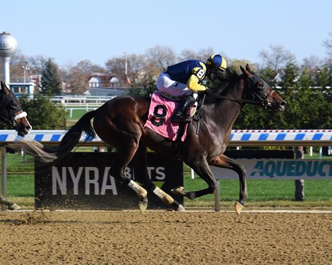Wolfie&#39;s Dynaghost - Maiden Win, Aqueduct, November 14, 2020