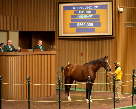 Hip 600 Dothraki Sea from Claiborne<br><br />
Sales horses at the Keeneland November Sale at Keeneland in Lexington, Ky. on November 10, 2020. 