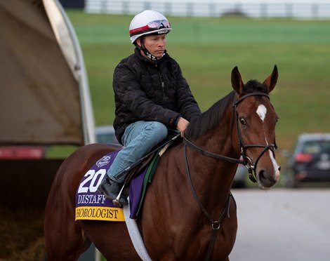 Breeders’ Cup entrant Horologist with exercise rider Neil Poznansky aboard heads to the track this morning at Keeneland Race Course Sunday Nov. 1 2020 in Lexington, KY.  Photo by Skip Dickstein
