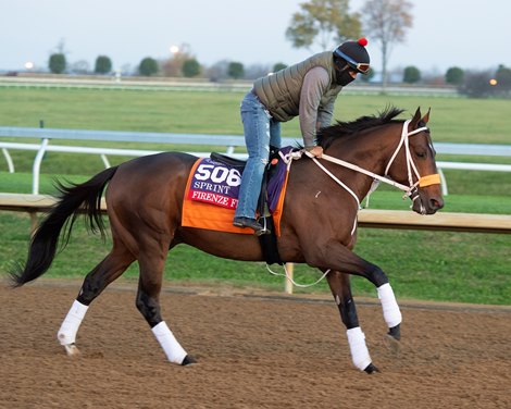 Firenze Fire<br>
Breeders’ Cup horses at Keeneland in Lexington, Ky. on November 5, 2020. 
