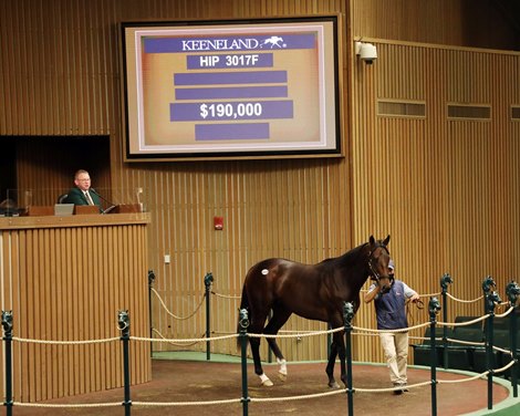 Hip 3017F, 2020 Keeneland November Sale