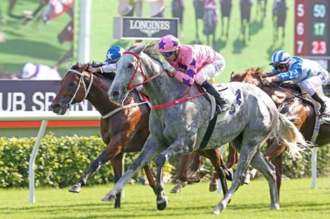 The John Size-trained Hot King Prawn, with Joao Moreira aboard, takes the G2 Jockey Club Sprint (1200m) at Sha Tin Racecourse today