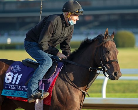 Gretzky the Great<br><br />
Breeders’ Cup horses at Keeneland in Lexington, Ky. on November 5, 2020. 