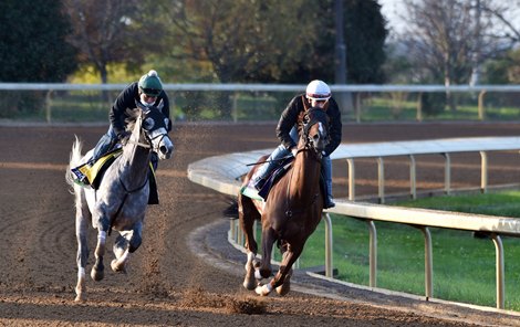 November 1, 2020: Tacitus (L) working five furlongs in 1:00 and Channel Maker working a half mile in :47.40 sunday morning at Keeneland...<br><br />
™ Rick Samuels/ The Blood-Horse