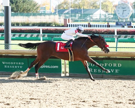 Idol - ALW, Churchill Downs, November 8, 2020