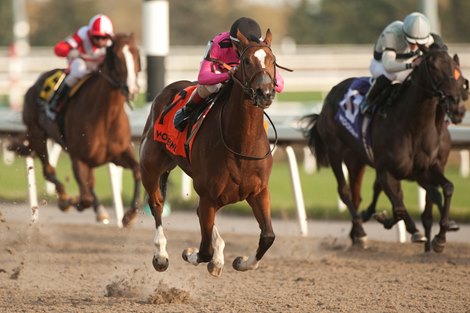 Heavenly Curlin wins the 2020 Maple Leaf Stakes at Woodbine