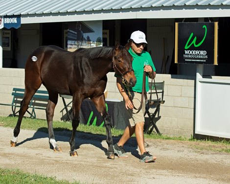 Hip 279 Happy Charger (filly by Super Saver from Happy Week) from Woodford Thoroughbreds<br>
Sales horses at the Keeneland November Sale at Keeneland in Lexington, Ky. on November 9, 2020.