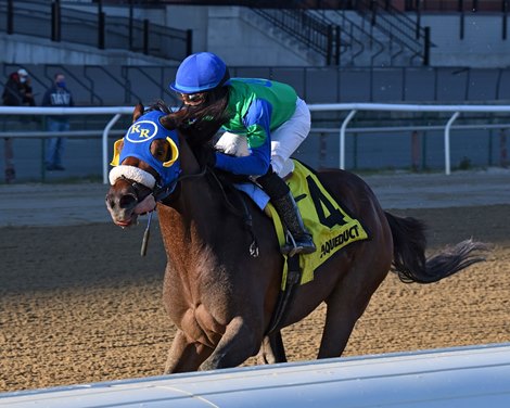 Eagle Orb wins the 2020 Notebook Stakes at Aqueduct