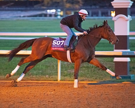 Frank’s Rockette<br><br />
Breeders’ Cup horses at Keeneland in Lexington, Ky. on November 1, 2020. 