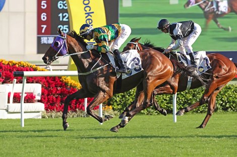 The Tony Cruz-trained Furore (No.3), ridden by Joao Moreira, takes the G2 Jockey Club Cup (2000m) at Sha Tin Racecourse today