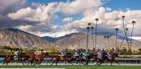 View at Santa Anita . Park