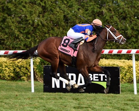 Never Surprised wins the 2020 Central Park Stakes at Aqueduct          