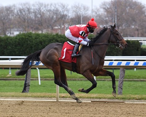 Brattle House wins maiden special weight Sunday, November 22, 2020 at Aqueduct