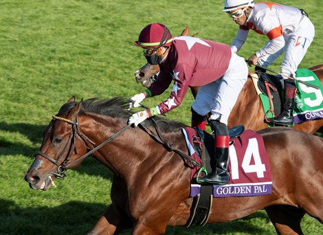 Golden Pal with Irad Ortiz Jr. wins the Juvenile Turf Sprint at Keeneland in Lexington, Ky. on Nov. 6, 2020.