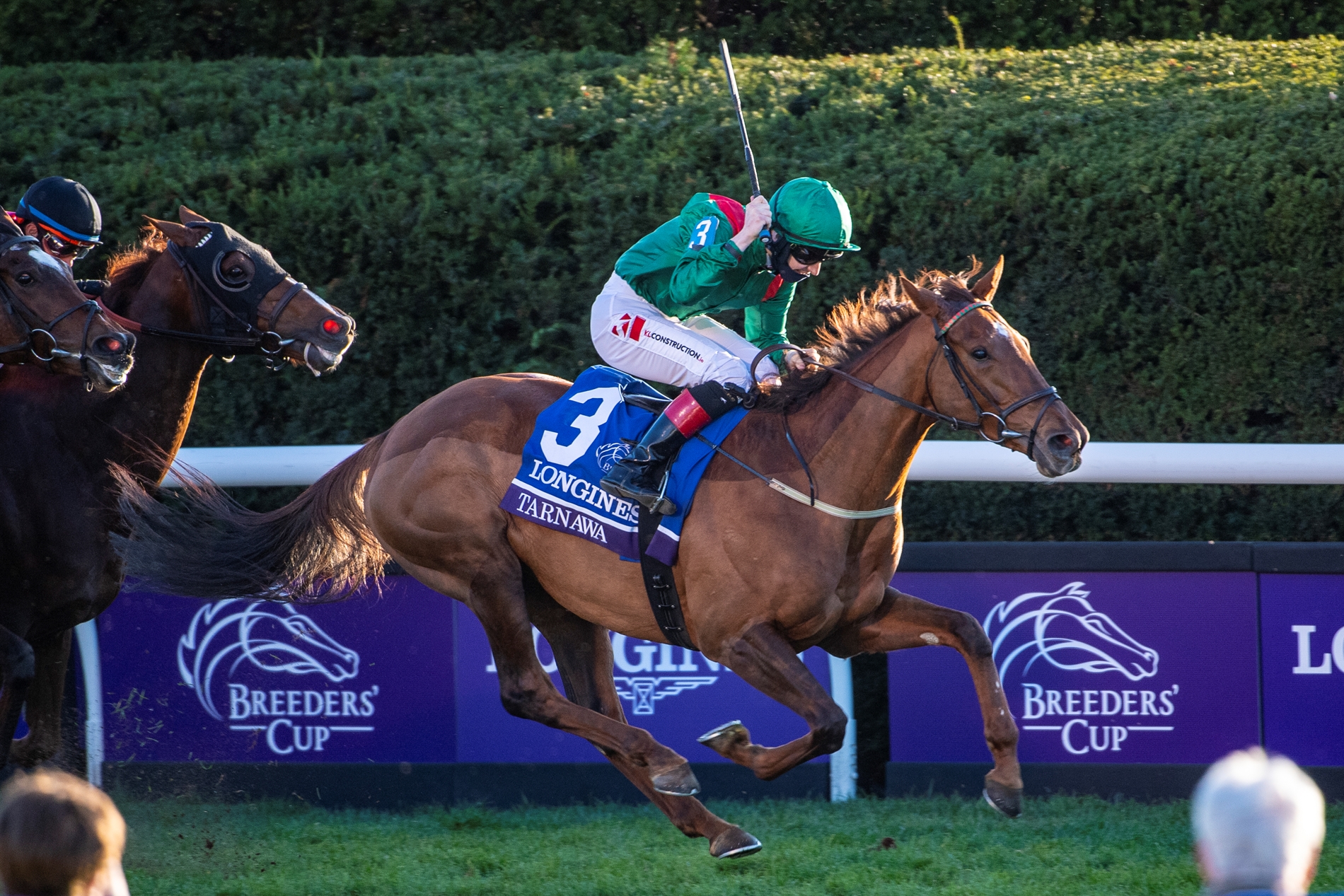 Tarnawa Delivers First Breeders Cup Win for Weld TrueNicks