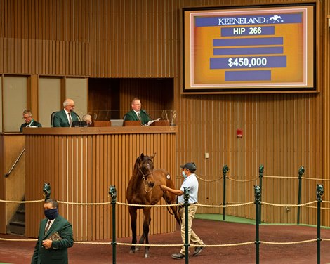 Hip 266 colt by Mastery out of Go Go Dana from Threave Main and breeders Eric Buckley and Lee MacMillan<br>
Sales horses at the Keeneland November Sale at Keeneland in Lexington, Ky. on November 10, 2020. 