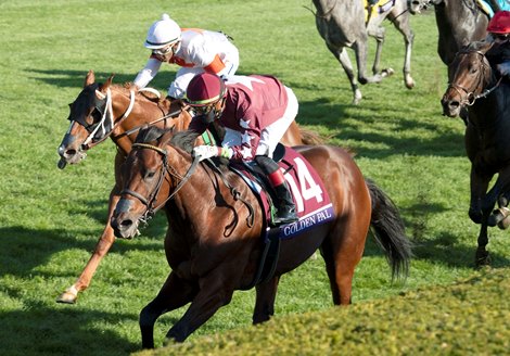 Golden Pal with Irad Ortiz Jr. wins the Juvenile Turf Sprint at Keeneland in Lexington, Ky. on Nov. 6, 2020.
