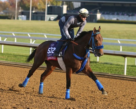 Collusion Illusion - Keeneland - 11-05-20