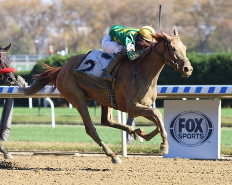 Royal Flag wins the 2020 Turnback the Alarm Handicap