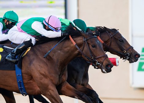 Juddmonte Farms&#39; Viadera and jockey Joel Rosario, outside, overpower Blowout (Flavien Prat), inside (green cap), and Juliet Foxtrot (Mike Smith), inside left, to win the Grade I, $300,000 Matriarch Stakes, Sunday, November 29, 2020 at Del Mar Thoroughbred Club, Del Mar CA. &#169; BENOIT PHOTO