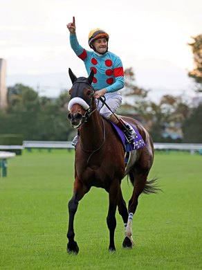 Almond Eye wins 2020 Tenno Sho at Tokyo Racecourse