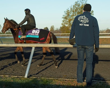 vet team Breeders’ Cup horses at Keeneland in Lexington, Ky. on November 2, 2020. 