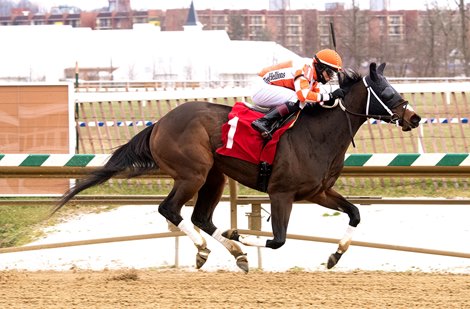 Dontletsweetfoolya wins the Willa On the Move Stakes Saturday, December, 26, 2020 at Laurel Park