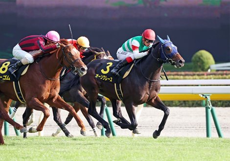 Orthoclase wins 2020 Ivy Stakes at Tokyo Racecourse