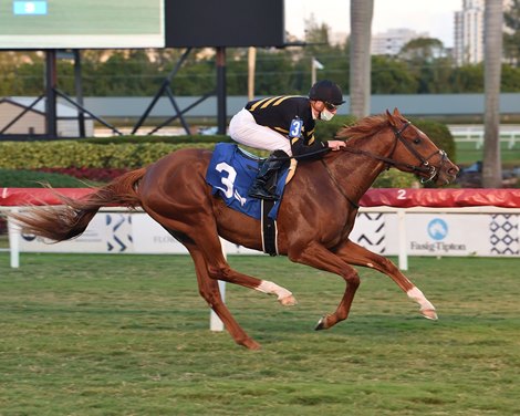 Kentucky Pharoah wins maiden special weight Saturday, December 19, 2020 at Gulfstream Park