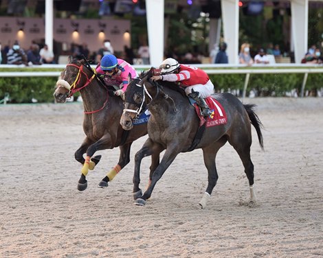 Frost Or Frippery wins the 2020 Claiming Crown Iron Horse Stakes    