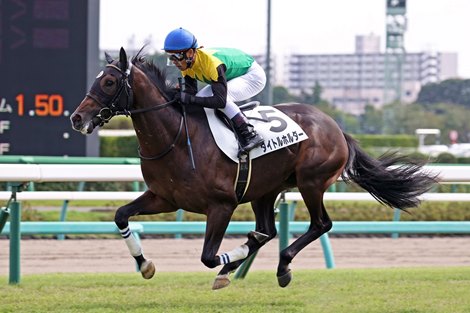 Titleholder wins 2020 Tokyo Sports Hai Nisai Stakes at Tokyo Racecourse