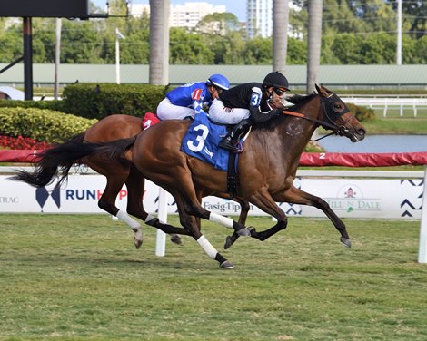 Miss Tapirado - Maiden Win, Gulfstream Park, December 31, 2020